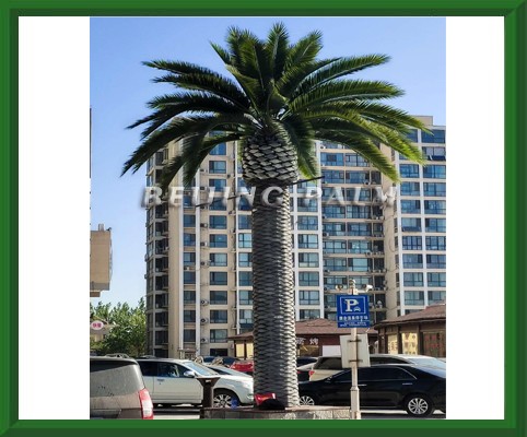 仿真加拿利海枣书